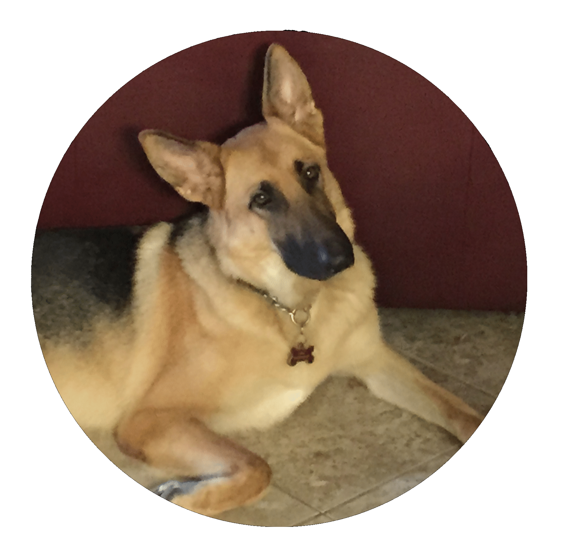 Picture of Kali